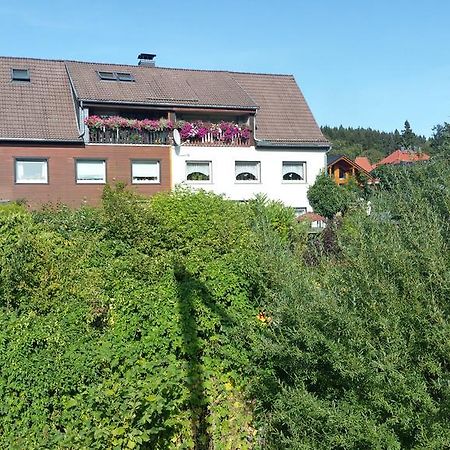 Apartment Bodeweg Schierke Esterno foto