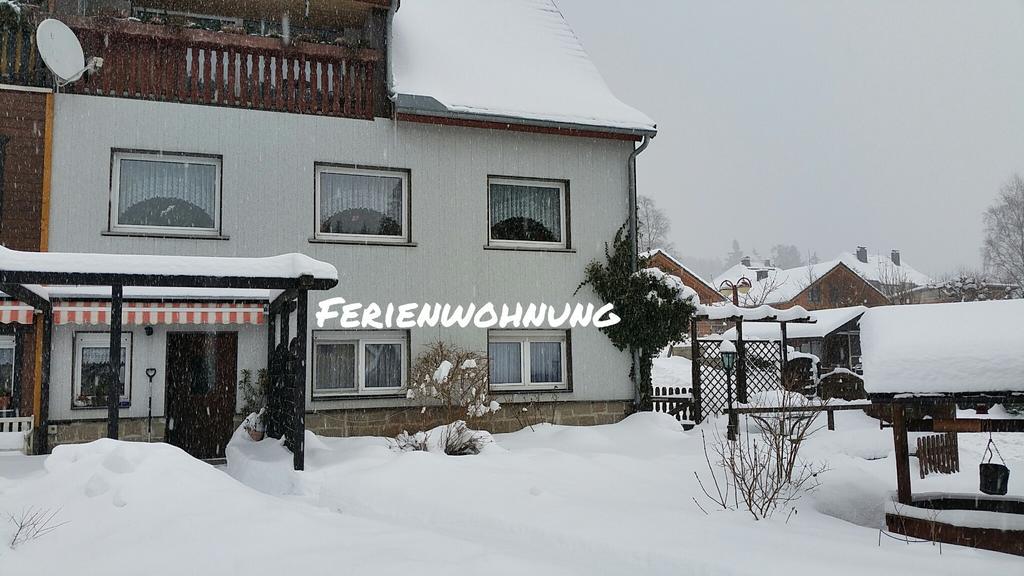 Apartment Bodeweg Schierke Esterno foto